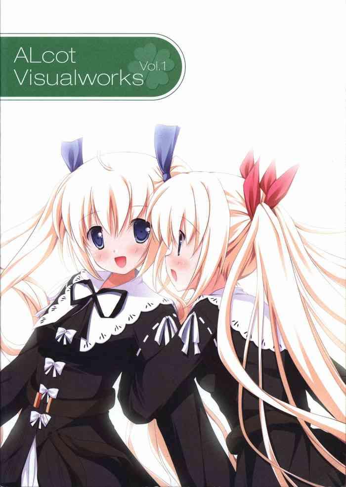 alcot visualworks vol 1 cover