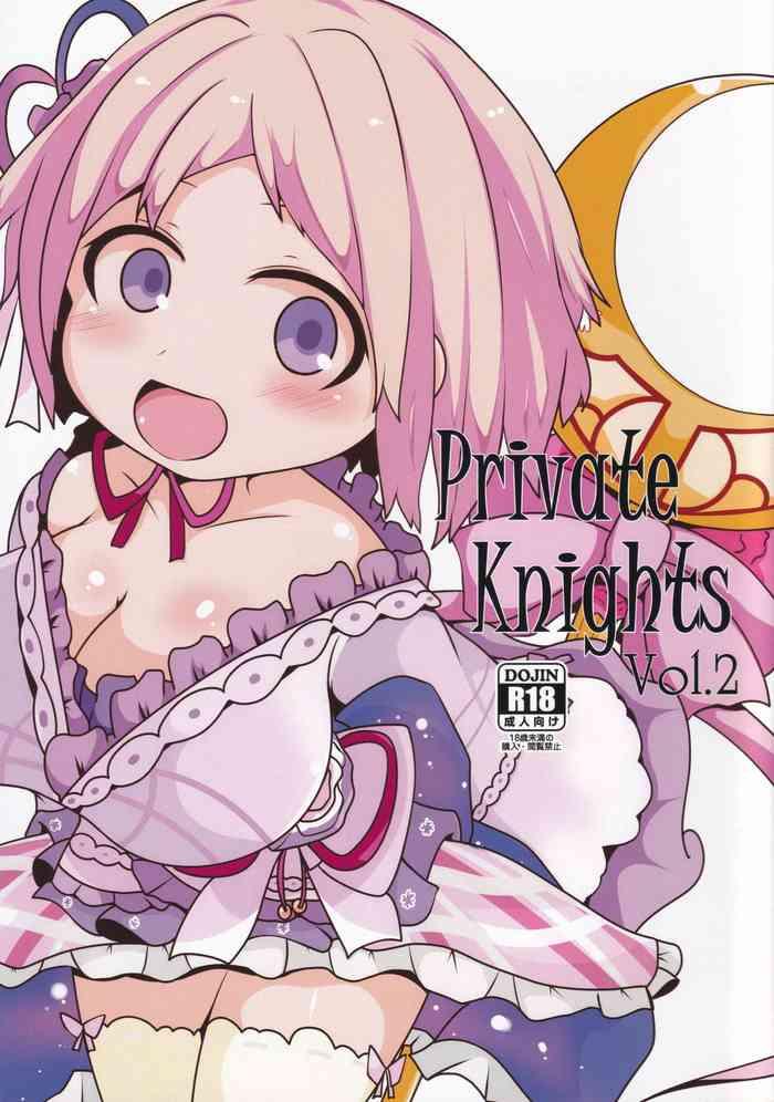 private knights vol 2 cover