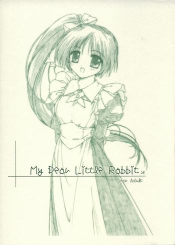my dear little rabbit second edition cover