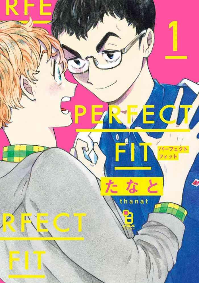 perfect fit ch 1 3 cover