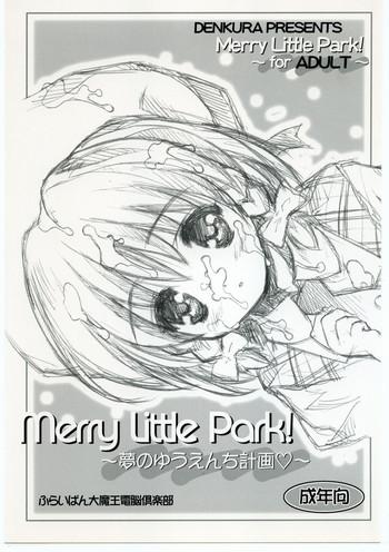 merry little park cover