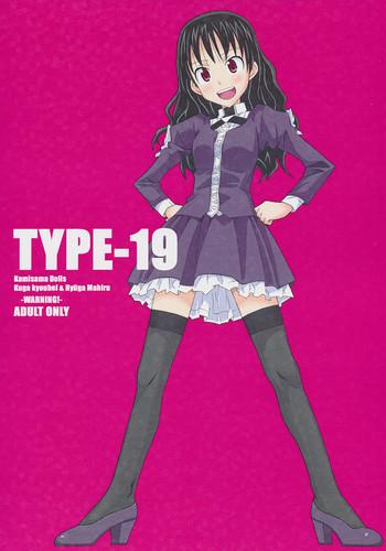 type 19 cover 1