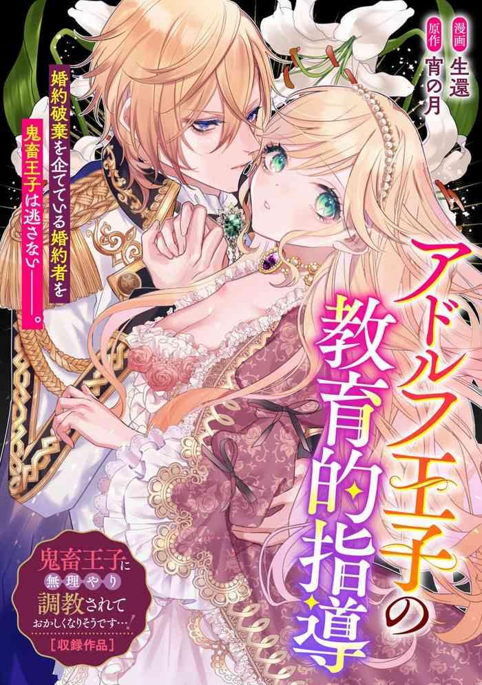 adorufu ouji no kyoikutekishidou cover