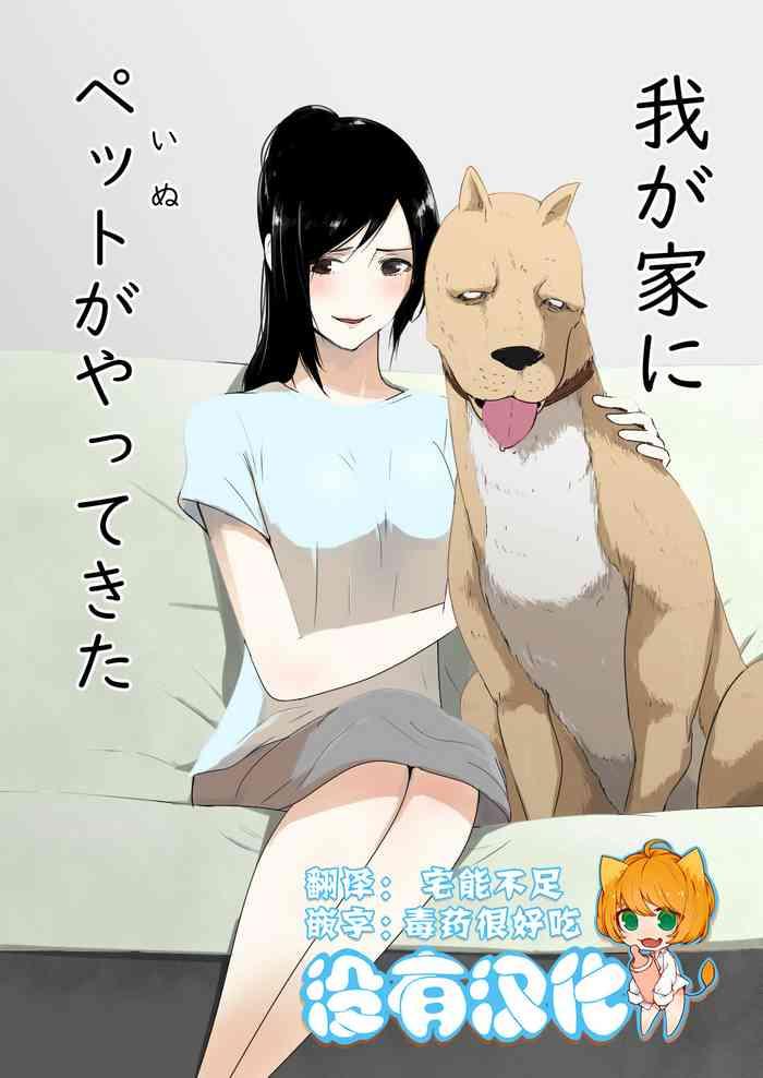 wagaya ni inu ga yattekita cover 1