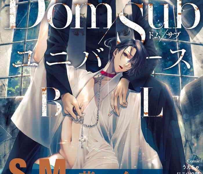 dom sub universe bl 01 02 cover