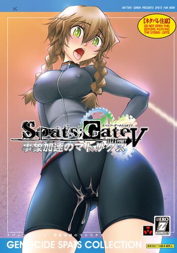 spats gate part5 infinity matrix cover