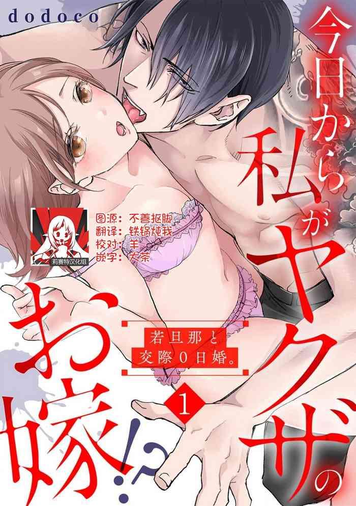 dodoco kyou kara watashi ga yakuza no oyome wakadanna to kousai 0 nichi kon vol 1 4 chinese cover