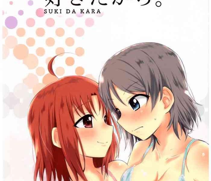 suki da kara cover