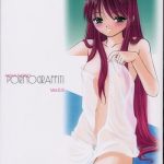 pornograffiti ver 0 5 cover