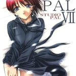 game pal vol vii cover