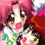 aki neko cover